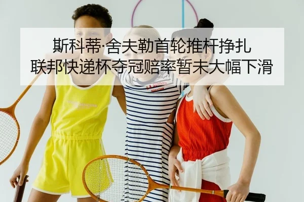 si-ke-di-she-fu-lei-shou-lun-tui-gan-zheng-zha-lian-bang-kuai-di-bei-duo-guan-pei-lv-zan-wei-da-fu-xia-hua-2-384.jpg